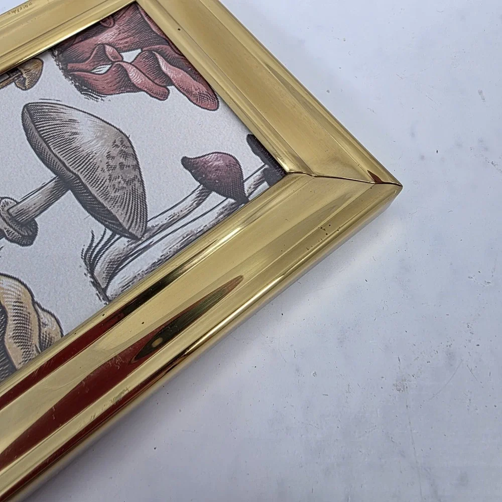 Vtg Brass Frame Mushroom Art Print Velvet Back Glass Front 3.75